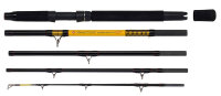 WFT Never Crack Big Cat 5tlg. 200-1000g 2,60m