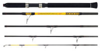 WFT Never Crack Big Fish 5tlg. 150-700g 2,40m