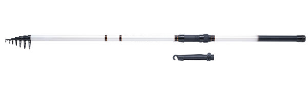 WFT XK Bone Stellfisch 8,00m 80-160g