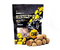 Nash Scopex Squid Cultured Pop Ups 15mm