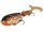 Strike Pro Wolf Tail EG-175F 16cm 31g C504F