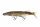 Fox Rage Giant Pike Replicant 40cm 465g Natural