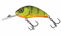 Salmo Rattlin Hornet 6,5 F Hot Perch