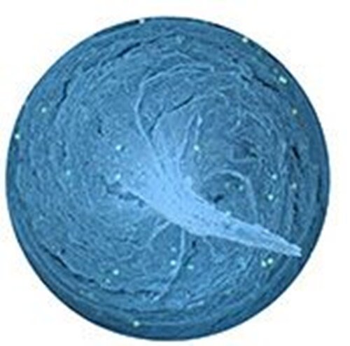Spro Trout Master Pro Paste 60g Garlic Fluo Blue