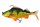 Fox Rage Replicant Perch SN 14cm 45g Hot