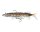 Fox Rage Replicant Pike 10cm 14g Wounded