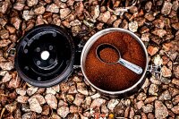 Fox Coffee and Tea Storage Kaffeedose