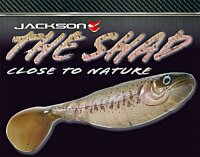 Jackson The Shad 10cm Perch Nature - Barsch Natur 2Stück