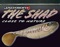 Jackson The Shad 10cm Whitefish Blue - Weißfisch...