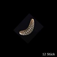 Nomura Soft Lures Crawler/Honey Worm 1,0" Night Worm