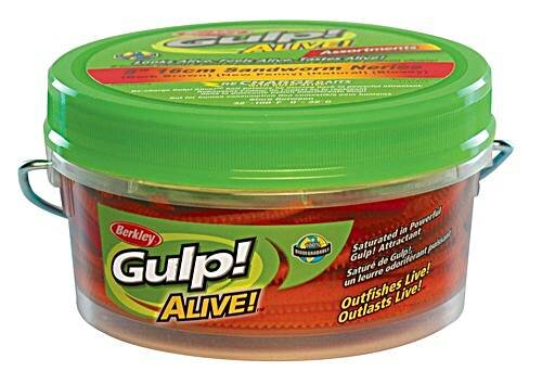 Berkley Gulp Alive Sandworm bloody