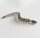 Keitech Custom Leech 3" Electric Baby Bass Drop Shot