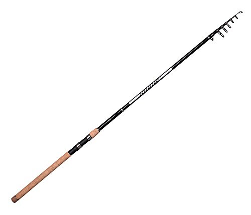 Spro Dynoforce Tele 3,00m 30-60g