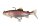 Fox Rage Replicant Trout SN 23cm 155g Rainbow