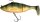 Quantum Freak of Nature Perch hot perch 60g 15cm