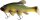 Quantum Freak of Nature Swimbait green tench 270g 23cm