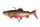 Fox Rage Replicant Trout SN 23cm 155g Tiger