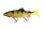 Fox Ultra UV Replicant Shallow Trout 18cm 70g Perch