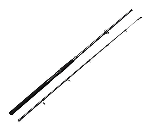 Spro Saltix Boat 2,70m 60-150g - Meeresrute