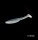 Nomura Soft Lures Grab Shad 4" Blue Shiner Back