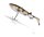 Quantum Yolo Swim Shad 66g 18cm zander