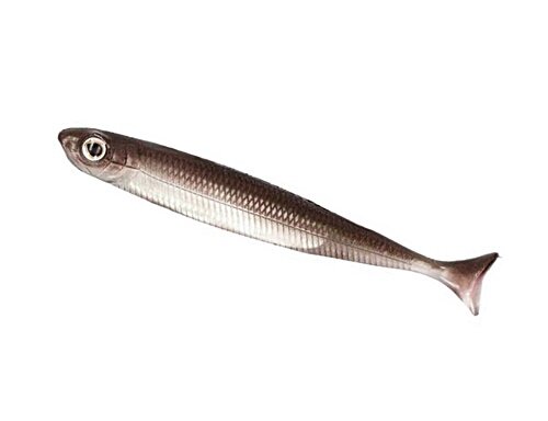 Fish Arrow Flash J Huddle 3inch Wakasagi/Silver