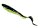 Abu Garcia McPerch Curly 11cm Black Chartreuse