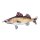 Fladen Soft Zander XL 125 cm