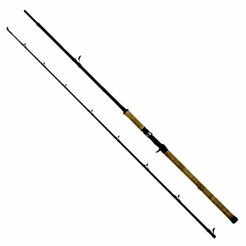 WFT Penzill BC King 2,60m bis 240g