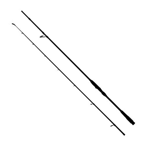 WFT Penzil Shad Control FULL POUNDER 2,30m 200-500 g