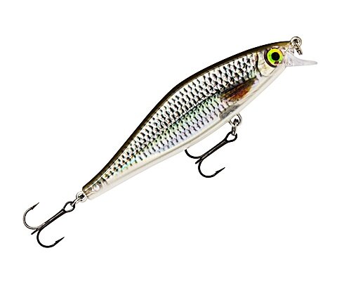 Rapala Shadow Rap Shad SDR09 ROL