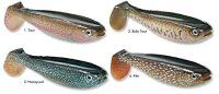 Jackson The Shad 10cm Baby Trout - Baby Forelle 2Stück