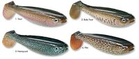 Jackson The Shad 10cm Pike - Hecht 2Stück