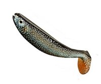 Jackson The Shad 12,5cm Namaycush - Saibling 2Stück