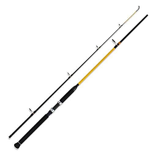 WFT Never Crack Big Fish 2,40m 150-700g
