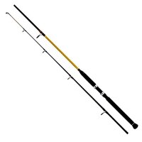 WFT N.C. Big Fish 150-700g 3,00m