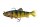 Fox Ultra UV Trout Replicant Jointed 23cm 185g Stickleback