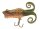 Berkley Frenzy Pop Frog Popper 6 cm 10g LeopardFrog