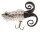 Berkley Frenzy Pop Frog Popper 6cm 10g Albino