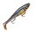 Rapala X-Rap Peto XRPT20 HLW