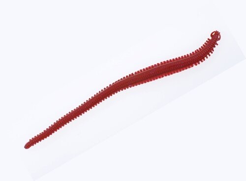 Berkley Gulp Saltwater Seeringelwurm Bloody 6"/15cm 10 Stück