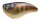 Sebile CRANKSTER MR FLOATING 3G 35MM NBG - NATURAL BLUEGILL