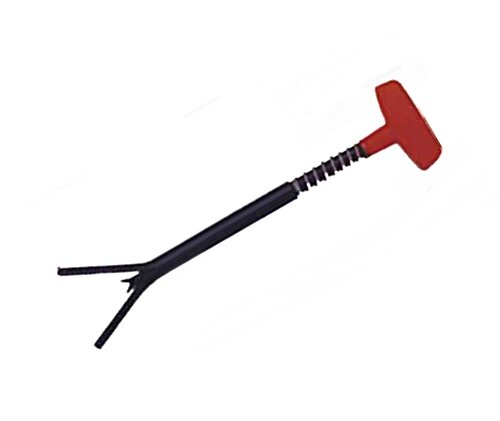 Fischerkönig Aaltöter