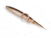 Castaic Super Jerky 5,25 Rainbow Trout