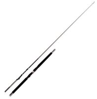 WFT Prion Inline 2,10m 30lbs