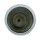 Berkley Power Bait Trout Bait sinking 65g Black