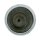 Berkley Power Bait Trout Bait sinking Black