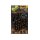 Fox Edges Camo Tapered Bore Bead 6mm