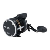 Penn Rival 30 LW LC Reel