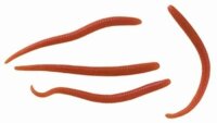 Berkley Gulp! Mini Earthworms Red